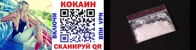 купить наркотики цена  hydra ТОР  Кокаин FishScale  Гатчина 