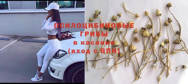 амф Беломорск