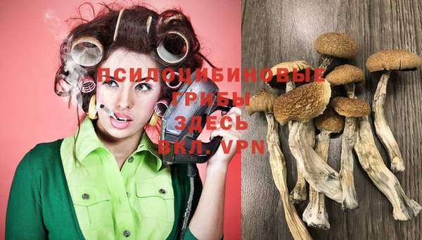 гашик Баксан