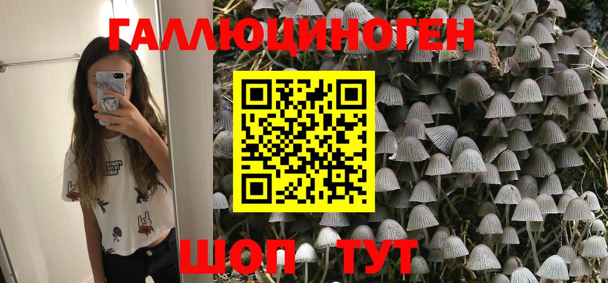 Псилоцибиновые грибы GOLDEN TEACHER  Галлюциногенные грибы мухоморы  Вход с VPN  где купить наркоту  Гатчина 