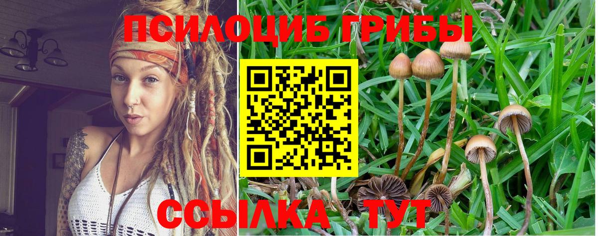 Галлюциногенные грибы мухоморы Гатчина