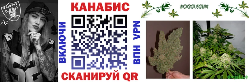 Марихуана гибрид  Гатчина 